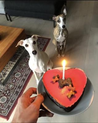 The Barking Bakery yoghurt topped pawty cake roze hart met kaars
