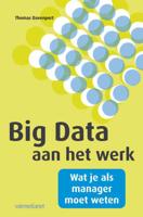 Big data (Paperback) - thumbnail
