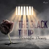 The Black Tulip - thumbnail