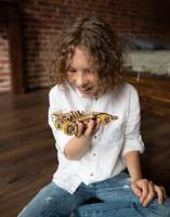 Wooden City formule 1 wagen - thumbnail