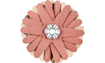 PFERD TOOLS 42732069 Schuursterren Diameter 50 mm 10 stuk(s)