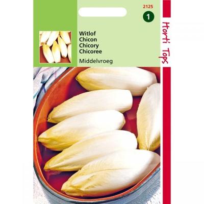 Zaden Brussels Witlof Hollandse Middelvroeg Hortitops - Hortitops