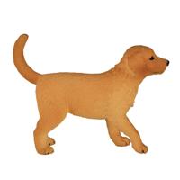 Mojo farmland golden retriever puppy 387205 - thumbnail