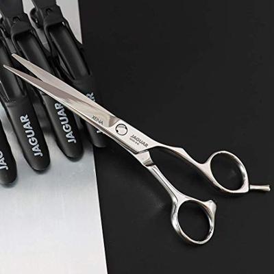 Jaguar Scissors Silver Line Xena 6.0 1Stuks Jaguar Scissors Silver Line Xena 6.0 1Stuks