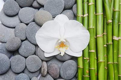 Fotobehang - Bamboe, Orchidee en stenen, Spa, Inspiratie, in 11 maten, inclusief behanglijm Fotobehang - Bamboe, Orchidee en stenen, Spa, Inspiratie, in 11 maten, inclusief behanglijm