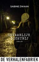 Gevaarlijk dichtbij - Sabine Zwaan - ebook - thumbnail