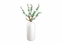 Sluban Jasmijn (m38-b1101-15) - thumbnail