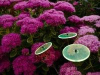 7 stuks! Zonnevangers Groen groot 175x20 cm Cazador Del Sol - Cazador del sol - thumbnail