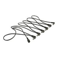 Palmer PWC 6 daisy chain - thumbnail