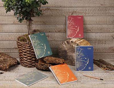 Clairefontaine FOREVER spiraalschrift, gerecycleerd, A5, 90g, 120 blz, geruit 5 mm, geassorteerd Clairefontaine FOREVER spiraalschrift, gerecycleerd, A5, 90g, 120 blz, geruit 5 mm, geassorteerd