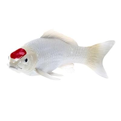 Mojo sealife koi karper - tancho koi - 381101