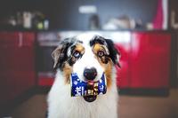 BRIT Premium By Nature Kip en Harten - nat hondenvoer - 400 g - thumbnail