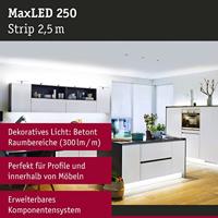 Paulmann MaxLED Stripe Daylight 79858 LED-strip Met connector (male) 2.5 m Daglichtwit 1 stuk(s) - thumbnail