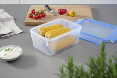Tefal Fresh Vershouddoos 100% Lekvrij Inhoud 2,2l Rechthoekig - thumbnail