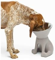 Voerbak voor honden United Pets Up Elisabeth Grijs Roestvrij staal Polyethyleen 1 L - thumbnail