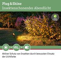 Paulmann P+S Spot Sting 2200K 94728 Verlichtingssysteem Plug&Shine LED-tuinspot uitbreidingsset LED 6.3 W Goud Antraciet - thumbnail