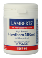 Lamberts Crataegus 2500mg Tabletten - thumbnail