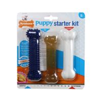 Nylabone puppy chew puppy starter kit chicken - thumbnail