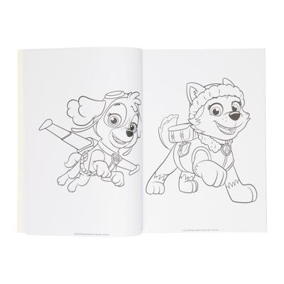 Wins Holland Kleurboek paw patrol, 128blz.