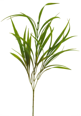 River grass spray fresh green 78cm