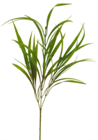 River grass spray fresh green 78cm - thumbnail