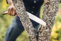 Fiskars Plus vouwzaag | SW69 | 21cm - 1067553 - thumbnail