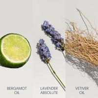 Calvin Klein Defy Deodorant Stick Alcohol Free - thumbnail