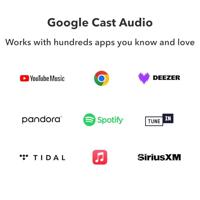 Wiim: Amp Pro streaming versterker - grijs - thumbnail