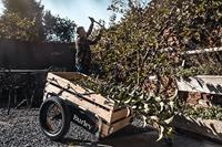 Burley Fietskar flatbed - thumbnail
