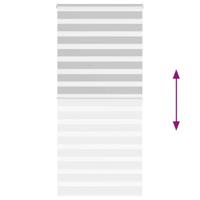 VidaXL Zebra rolgordijn 105x200 cm stofbreedte 100,9 cm lichtgrijs - thumbnail
