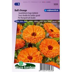 Calendula Officinalis zaden Balls Orange goudsbloem