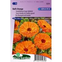 Calendula Officinalis zaden Balls Orange goudsbloem - thumbnail