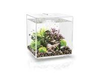 BiOrb Cube 30 MRC - Wit Aquarium - thumbnail