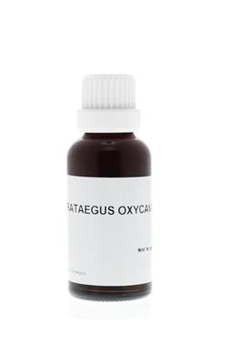 Homeoden Heel Crataegus oxyacantha phyto 30 Milliliter