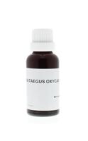 Homeoden Heel Crataegus oxyacantha phyto 30 Milliliter - thumbnail