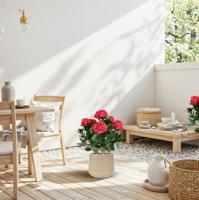 Hortensia UV Kunstplant Deluxe 65cm Cerise - thumbnail