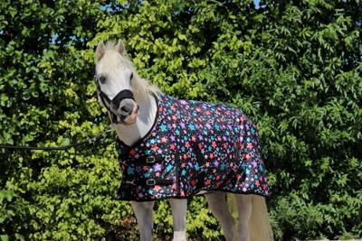 HB Harry & Hector Outdoordeken Fantasy HB Harry & Hector Outdoordeken Fantasy