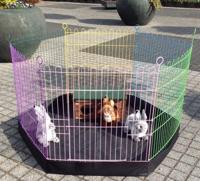 Bodemhoes voor draadren zwart 11 cm hoog buitenverblijf Gebr. de Boon - Gebr de boon - thumbnail