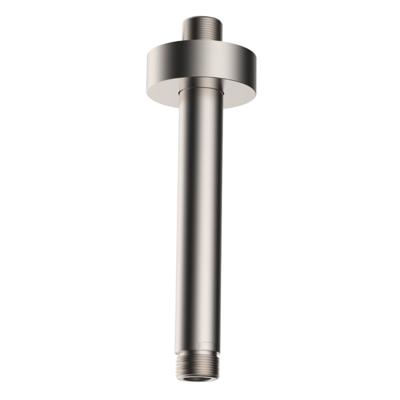 Caral douchearm met plafondbevestiging 15 cm geborsteld staal