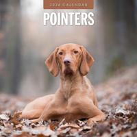 Pomeranian Kalender 2026 - thumbnail