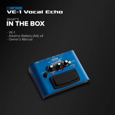 Boss VE-1