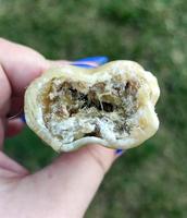 SYTA MICHA Kiwi with coconut - hondenkluif - 13,5 cm - thumbnail