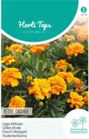 Zaden Tagetes lage Afrikaan Petite Orange Hortitops - Hortitops - thumbnail