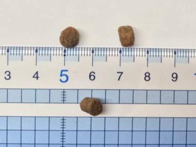 Sanabelle Senior kattenvoer met gevogelte 2 kg Sanabelle Senior kattenvoer met gevogelte 2 kg