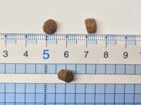 Sanabelle Senior kattenvoer met gevogelte 2 kg - thumbnail