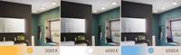 Paulmann 78926 LED-wandlamp 18.00 W Chroom - thumbnail