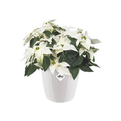 Elho brussels diamond round 22 white
