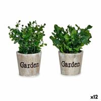 Decoratieve plant Plastic 16 x 22 x 16 cm (12 Stuks) - thumbnail