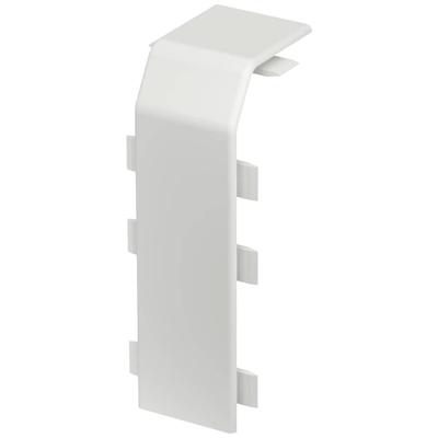 OBO Bettermann RD Kup40105 rws voor Afdekking Zuiver wit 1 stuk(s)