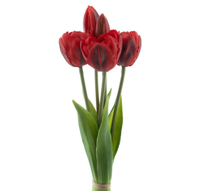 PSO Triumph tulip bundle Sally x5 red 29 cm kunstbloem Erutan Avon - Erutan avon - thumbnail